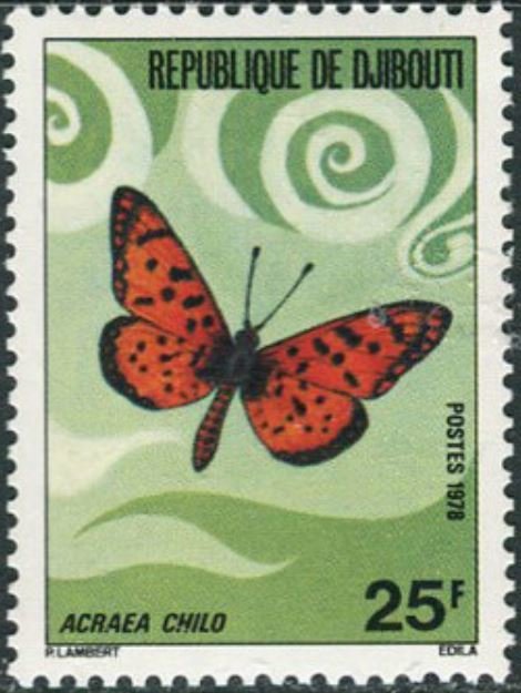 (Acraea chilo) 