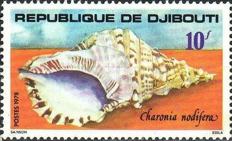 Stamp, Shell (Charonia nodifera), Djibouti,  , Molluscs, Shells, Animals (Fauna)