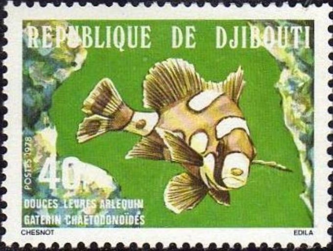 Clown Sweetlips (Gaterina chaetodonoides)