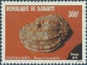 Stamp, Sea-shell (Harpa connaidalis), Djibouti,  , Molluscs, Shells, Animals (Fauna)