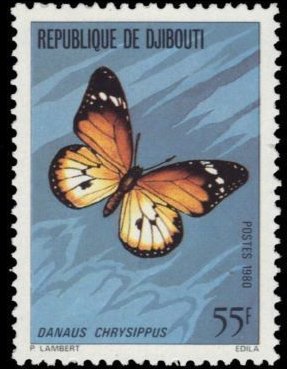 African Monarch (Danaus chrysippus) 