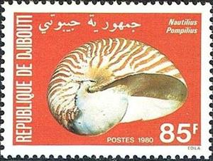 Stamp, Chambered Nautilus (Nautilius pompilius), Djibouti,  , Molluscs, Shells, Animals (Fauna)