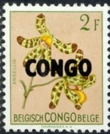 Belgian Congo BE C313 with overprint