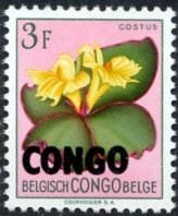 Belgian Congo BE C314 with overprint