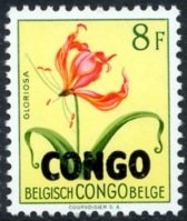 Belgian Congo BE C319 with overprint