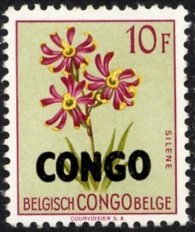 Belgian Congo BE C320 with overprint