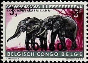 African Bush Elephant (Loxodonta africana)