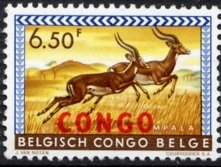 Impala (Aepyceros melampus)