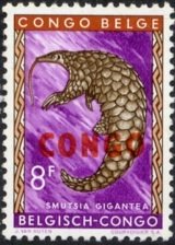 Giant Pangolin (Manis gigantea)