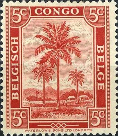 Palm trees
