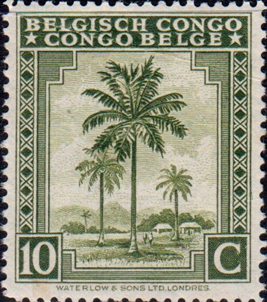 Oil palm tree inscribed "Belgisch Congo Congo Belge"