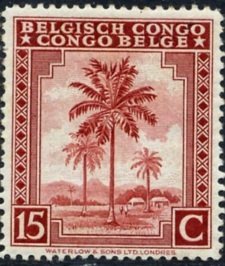 Oil palm tree inscribed "Belgisch Congo Congo Belge"