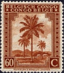 Oil palm tree inscribed "Belgisch Congo Congo Belge"