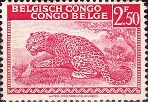 Stamp, Leopard (Panthera pardus) inscribed "Belgisch Congo Congo Be, Belgian Congo,  , Mammals, Leopards, Animals (Fauna)