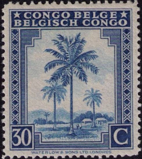 Oil palm tree inscribed "Congo Belge Belgisch Congo"