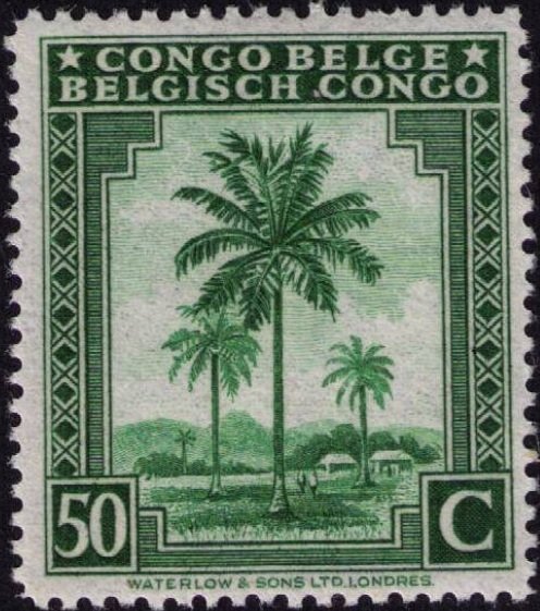 Oil palm tree inscribed "Congo Belge Belgisch Congo"