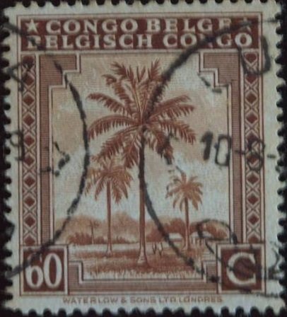 Oil palm tree inscribed "Congo Belge Belgisch Congo"