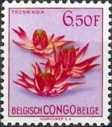 Thonningia