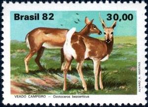 Stamp, Pampas Deer (Odocoileus bezoarticus), Brazil,  , Mammals, Animals (Fauna)