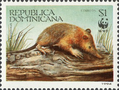 Stamp, Hispaniolan Solenodon (Solenodon paradoxus), Dominican Republic,  , Mammals, WWF, Environment Protection, Animals (Fauna)