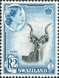 Stamp, Greater Kudu (Tragelaphus strepsiceros), Swaziland,  