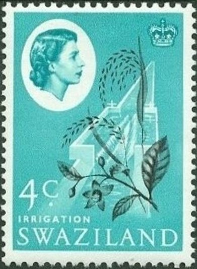 Irrigation