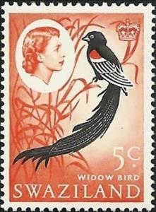 Stamp, Long-tailed Widowbird (Euplectes progne), Swaziland,  , Birds