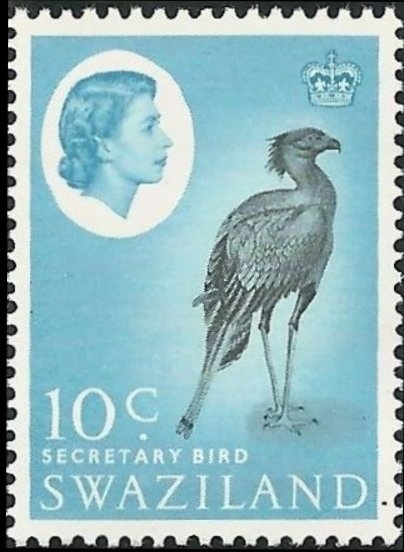 Secretarybird (Sagittarius serpentarius)