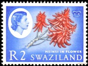 Stamp, Msinsi, Flame Tree, Swaziland,  