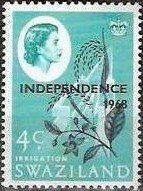 Irrigation