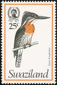 Stamp, Giant Kingfisher (Megaceryle maxima), Swaziland,  , Birds, Animals (Fauna), Kingfishers
