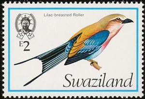 Stamp, Lilac-breasted Roller (Coracias caudatus), Swaziland,  , Birds, Animals (Fauna)