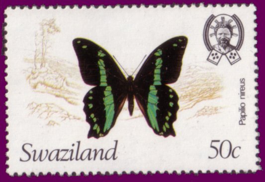 Green-banded Swallowtail (Papilio nireus)