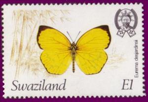 Stamp, Angled Grass Yellow (Eurema desjardinsii), Swaziland,  , Butterflies