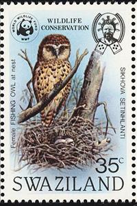 Stamp, Pel's Fishing-owl (Scotopelia peli), Swaziland,  , Birds, WWF, Birds of Prey, Owls, Animals (Fauna)