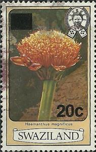 Stamp, Haemanthus magificus, Swaziland,  