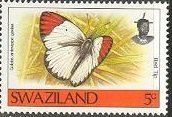 Stamp, Red Tip (Colotis antevippe ssp. gavisa), Swaziland,  , Butterflies