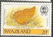 Stamp, Bamboo Charaxes (Charaxes boueti), Swaziland,  , Butterflies