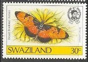 Broad Bordered Acraea (Acraea anemosa)