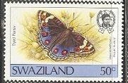 Blue Pansy (Junonia orithya ssp. madagascariensis)