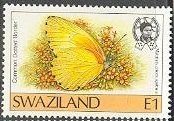 Stamp, Common Dotted Border (Mylothris chloris ssp. agathina), Swaziland,  , Butterflies
