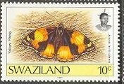 Yelow Pansy (Junonia hierta ssp. cebrene)