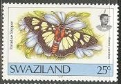 Stamp, Paradise Skipper (Abantis paradisea), Swaziland,  , Butterflies
