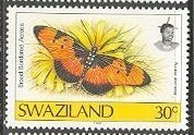 Broad Bordered Acraea (Acraea anemosa)