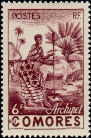 Femme indigene-indigenous woman