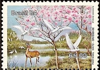 Egret, Marsh Deer