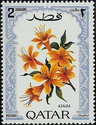 Azaleas