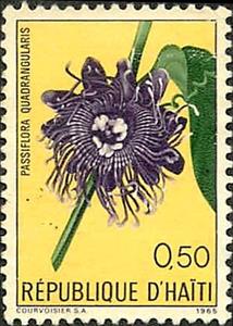 Stamp, Passiflora quadrangularis, Haiti,  , Flowers