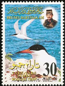 Stamp, Roseate Tern (Sterna dougallii), Brunei Darussalam,  , Birds, Animals (Fauna)