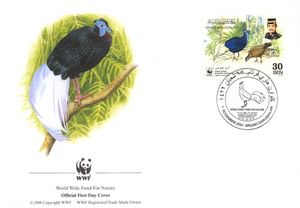 Bulwer's Pheasant (Lophura bulweri)